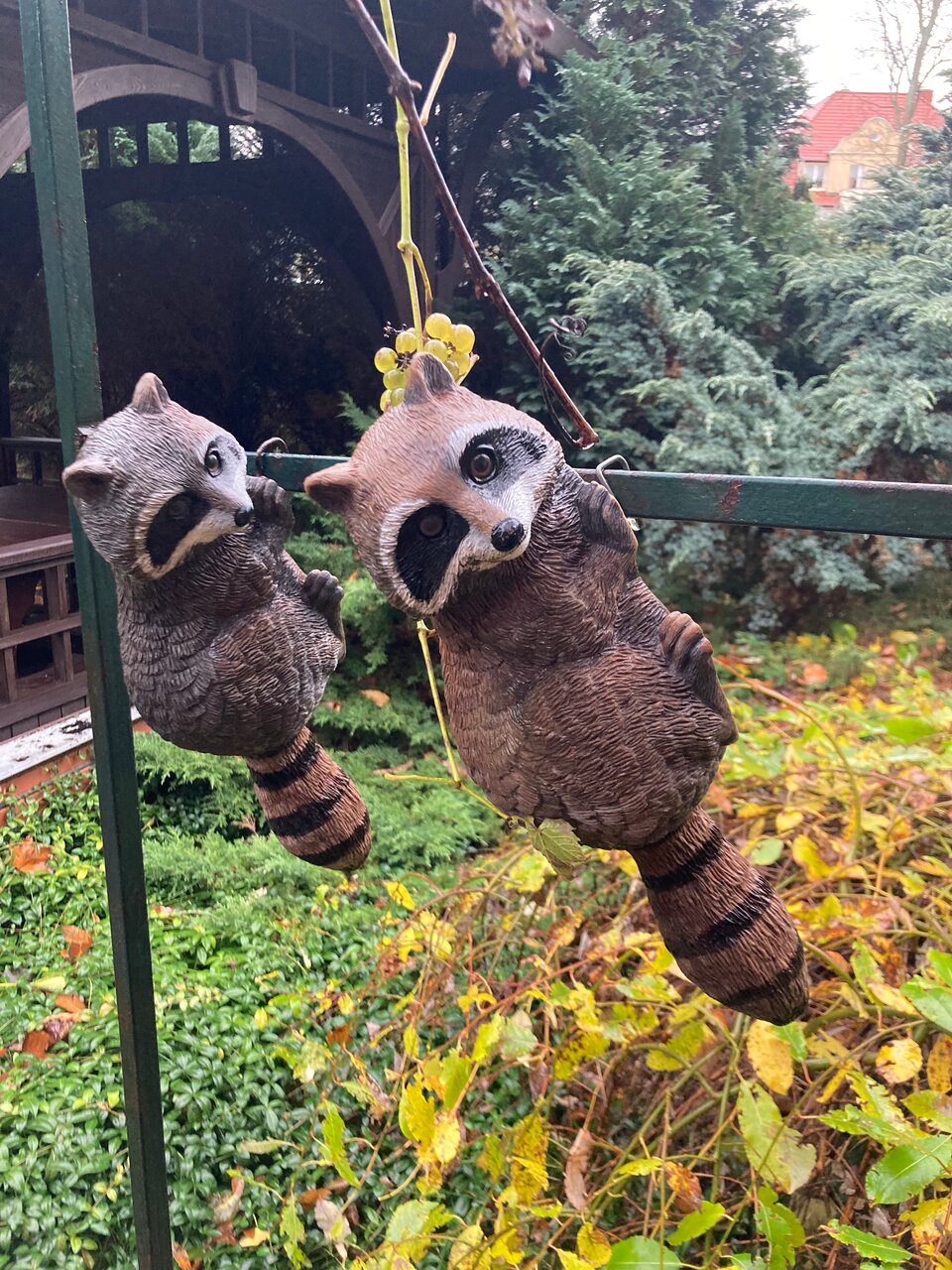 Гостиница Черепаха Калининград-116