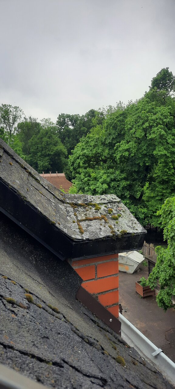 Гостиница Черепаха Калининград-173