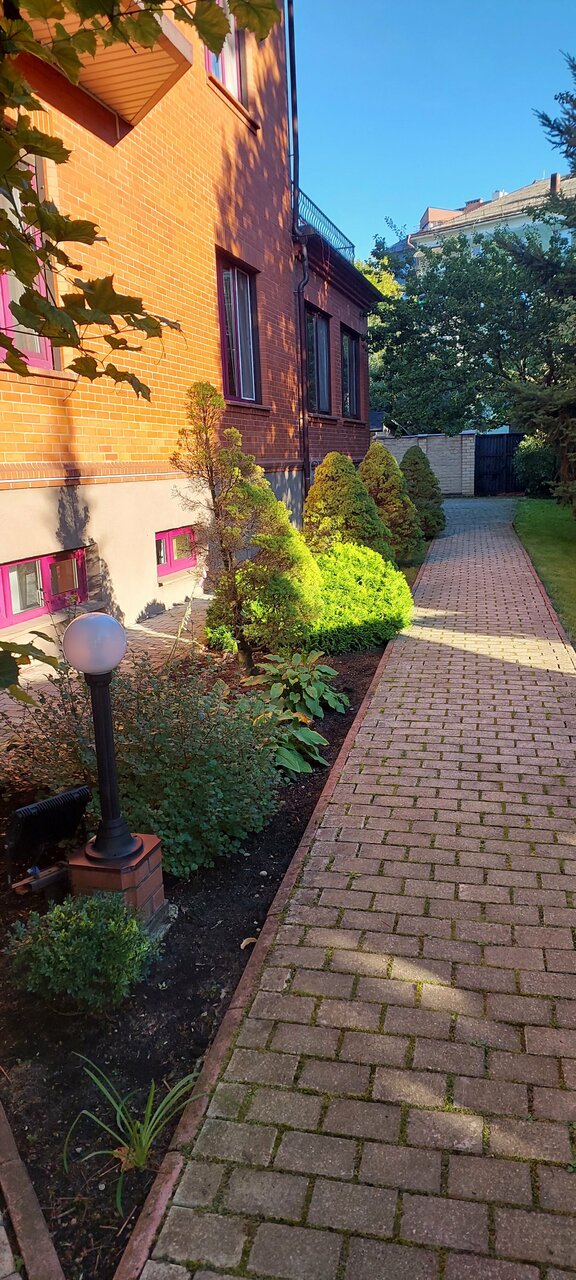 Гостиница Черепаха Калининград-190