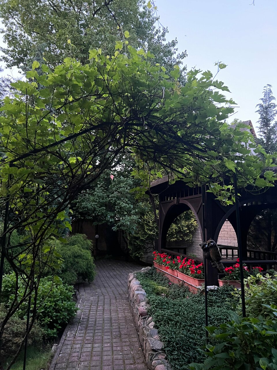 Гостиница Черепаха Калининград-198