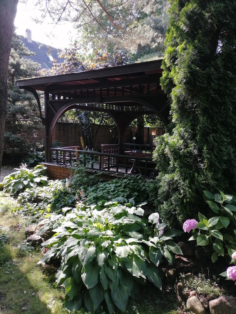 Гостиница Черепаха Калининград-123