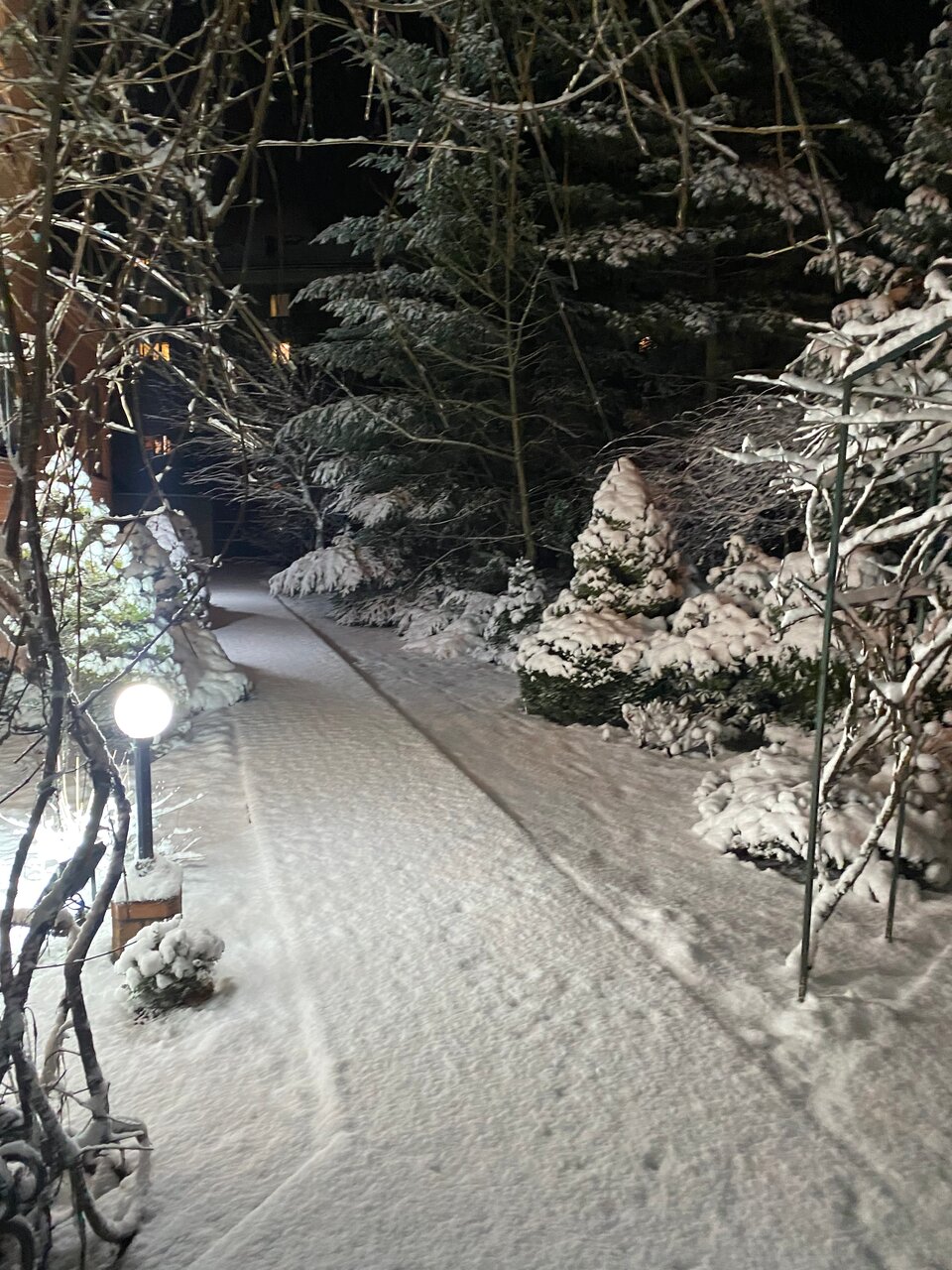 Гостиница Черепаха Калининград-117