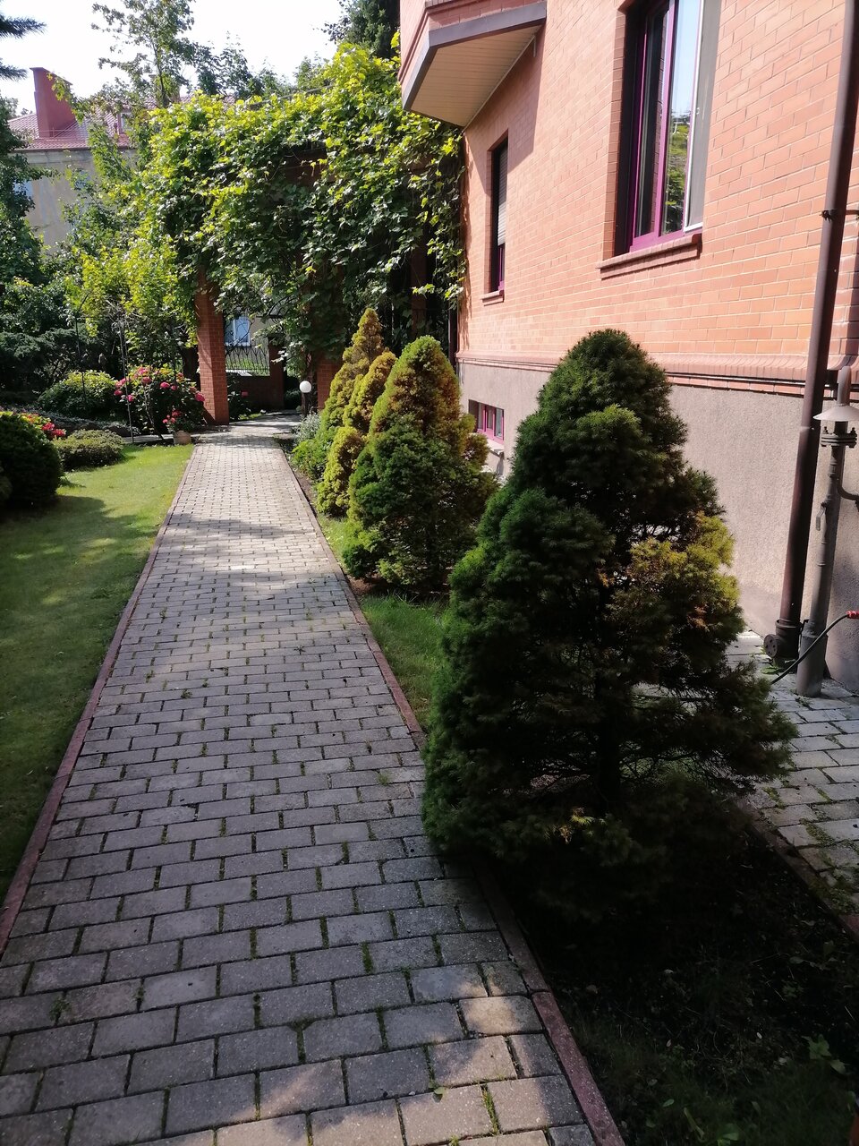 Гостиница Черепаха Калининград-205