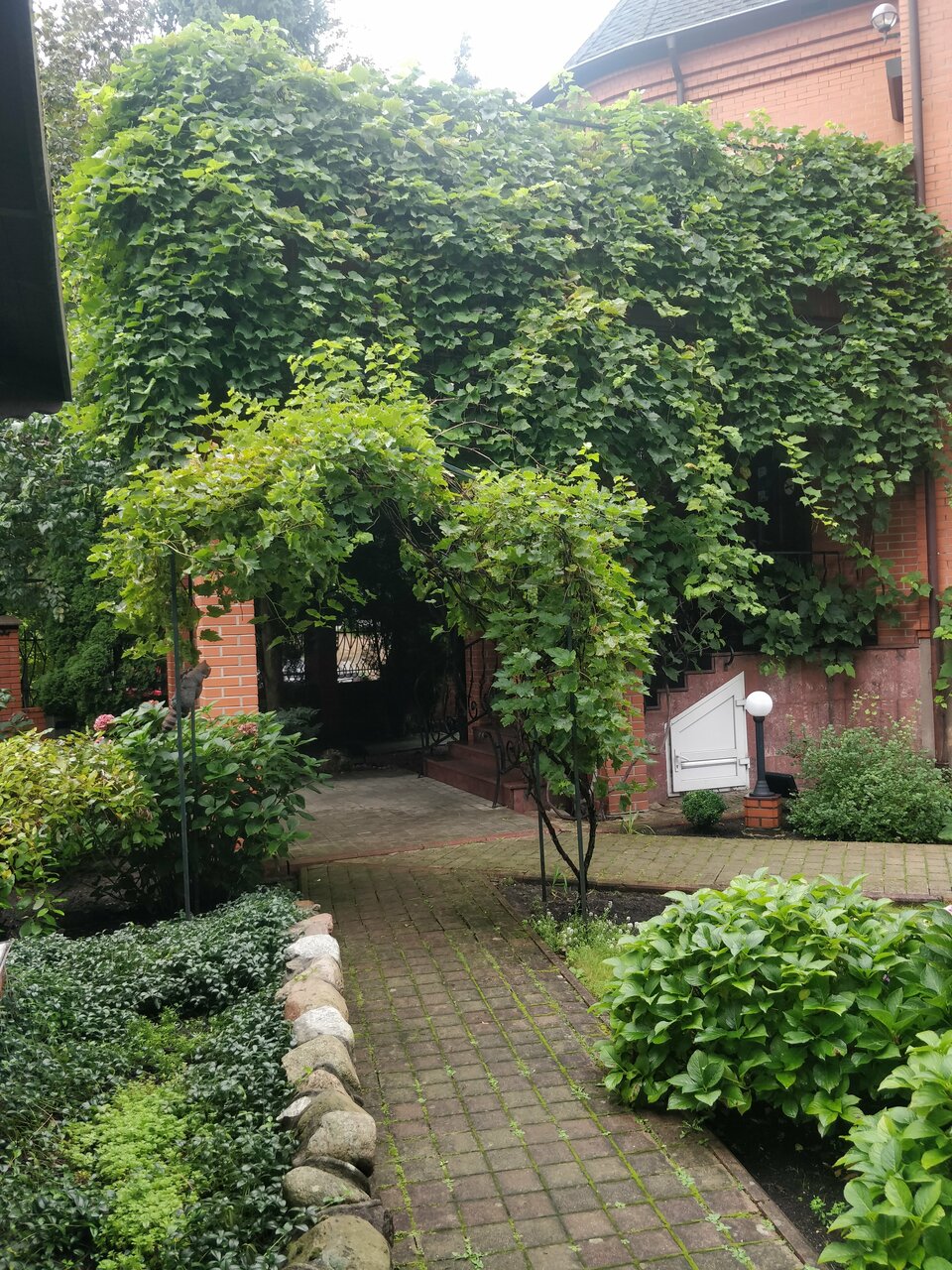 Гостиница Черепаха Калининград-186