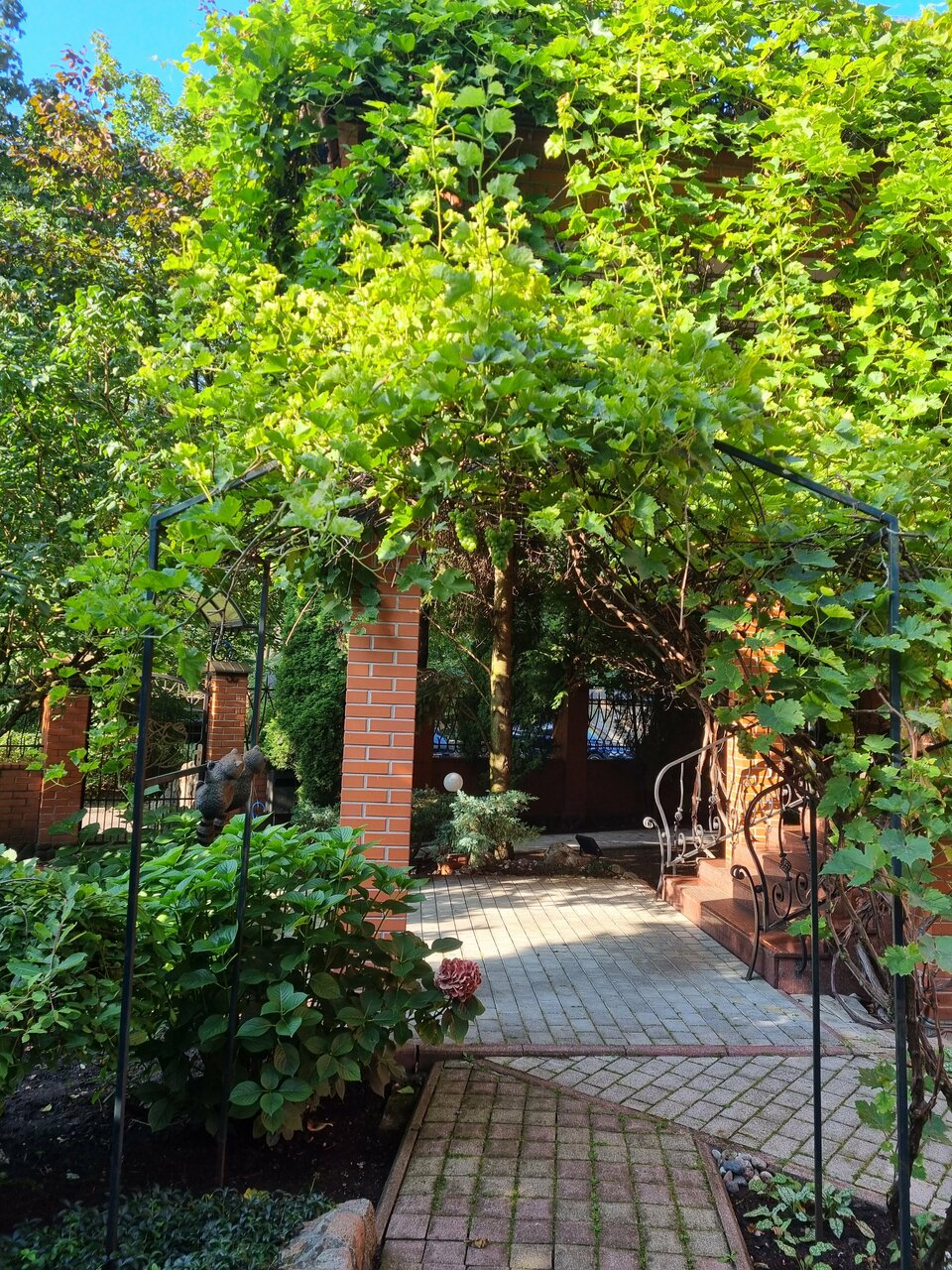 Гостиница Черепаха Калининград-157