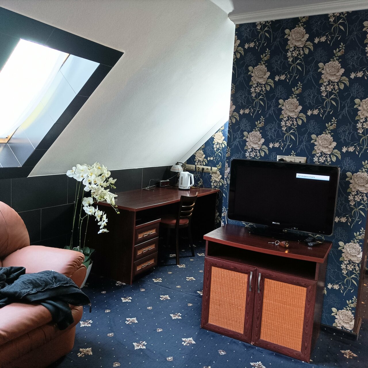 Гостиница Черепаха Калининград-168