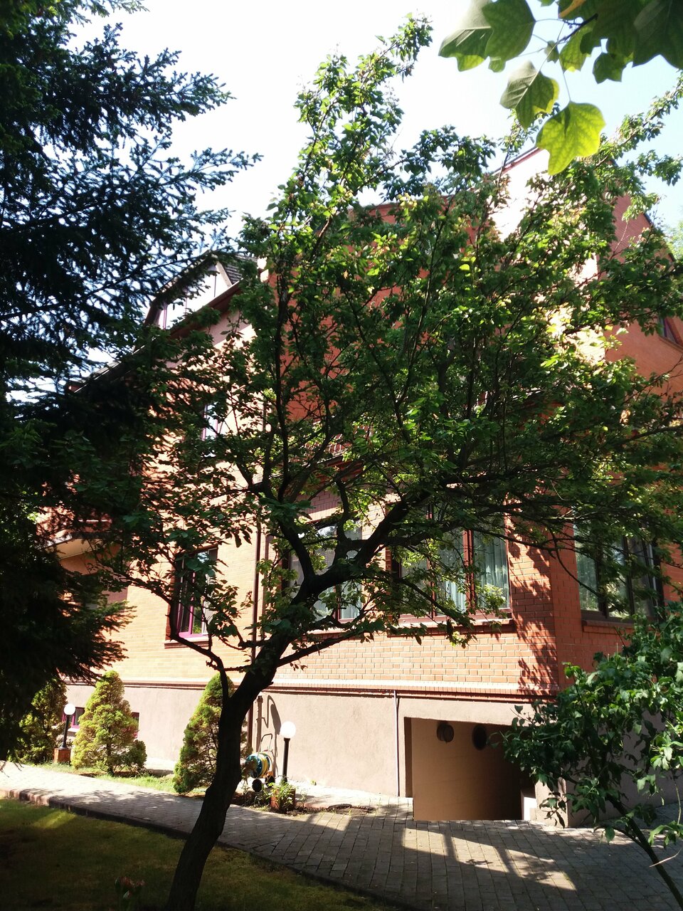 Гостиница Черепаха Калининград-143