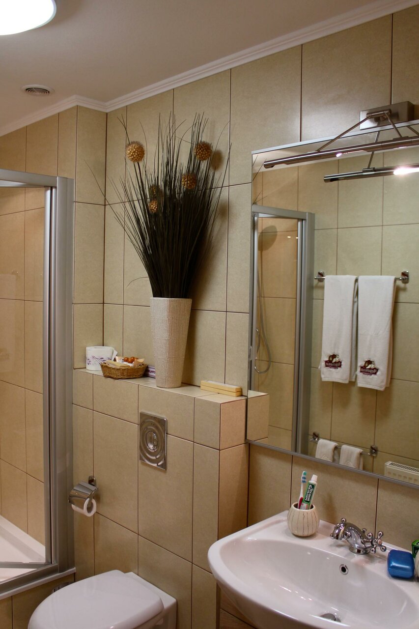 Гостиница Черепаха Калининград-96