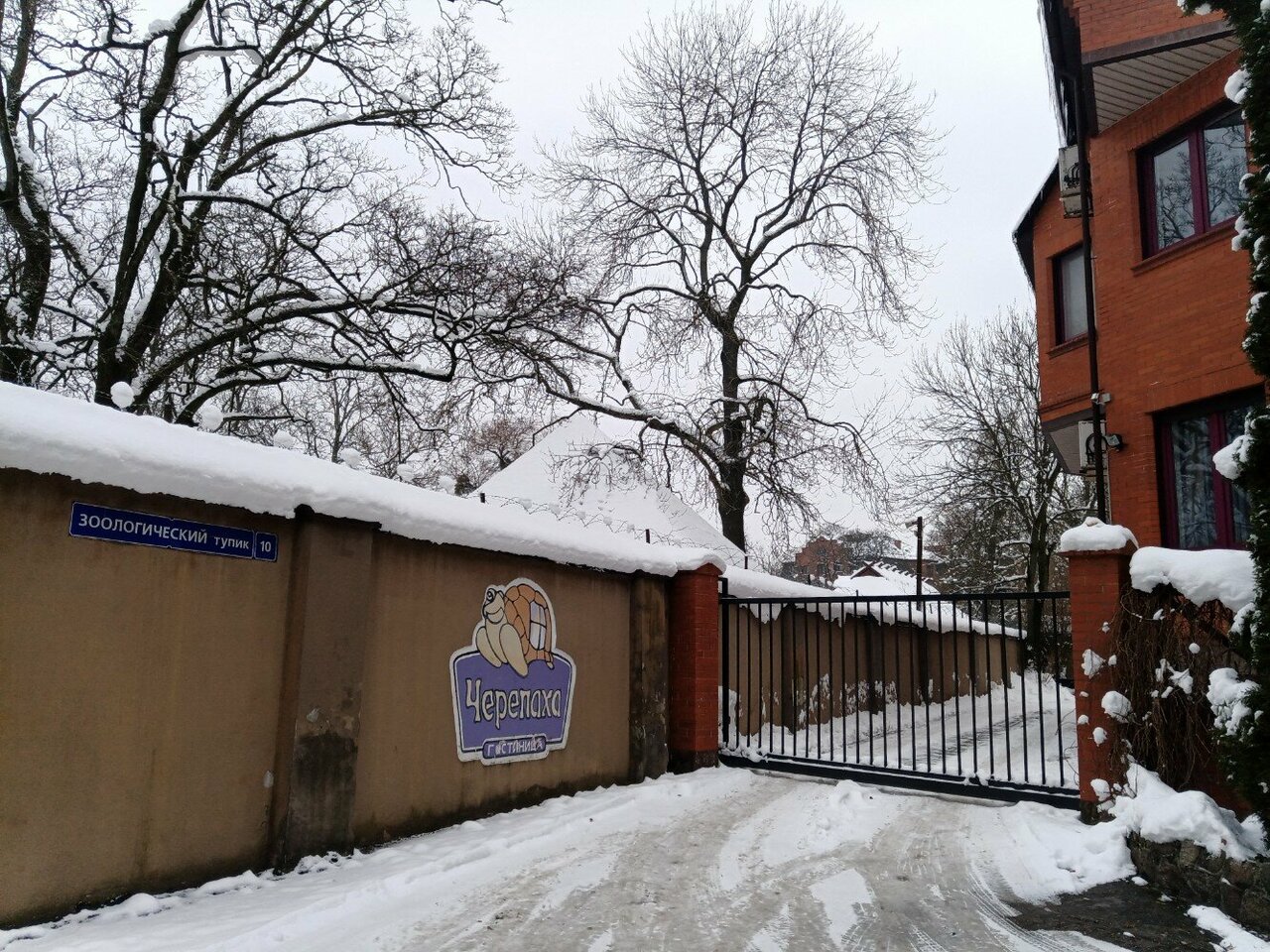 Гостиница Черепаха Калининград-24