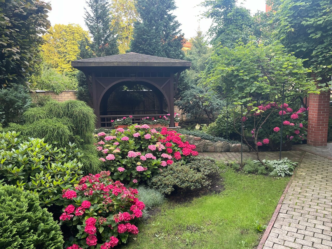 Гостиница Черепаха Калининград-141