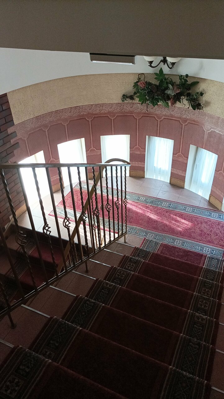 Гостиница Черепаха Калининград-137