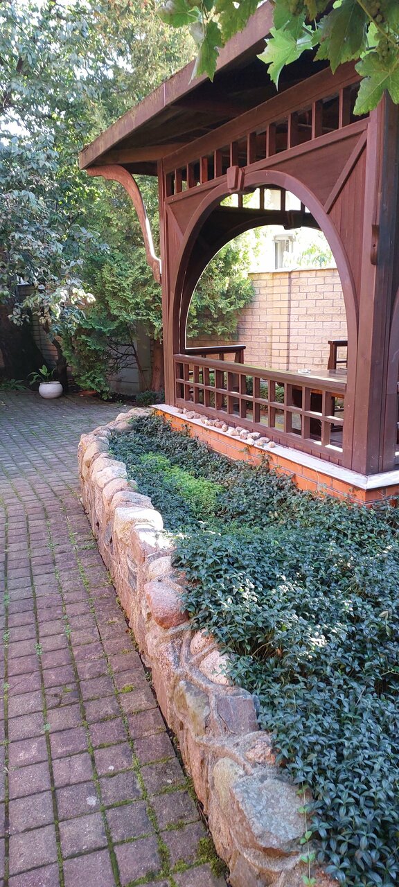 Гостиница Черепаха Калининград-155