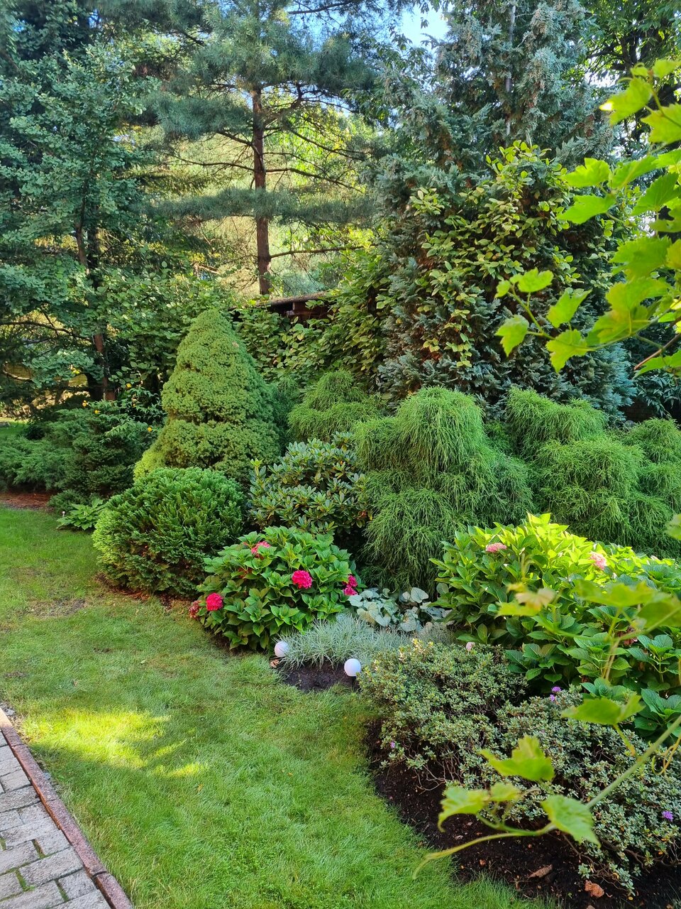 Гостиница Черепаха Калининград-128