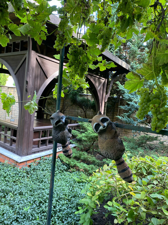 Гостиница Черепаха Калининград-152