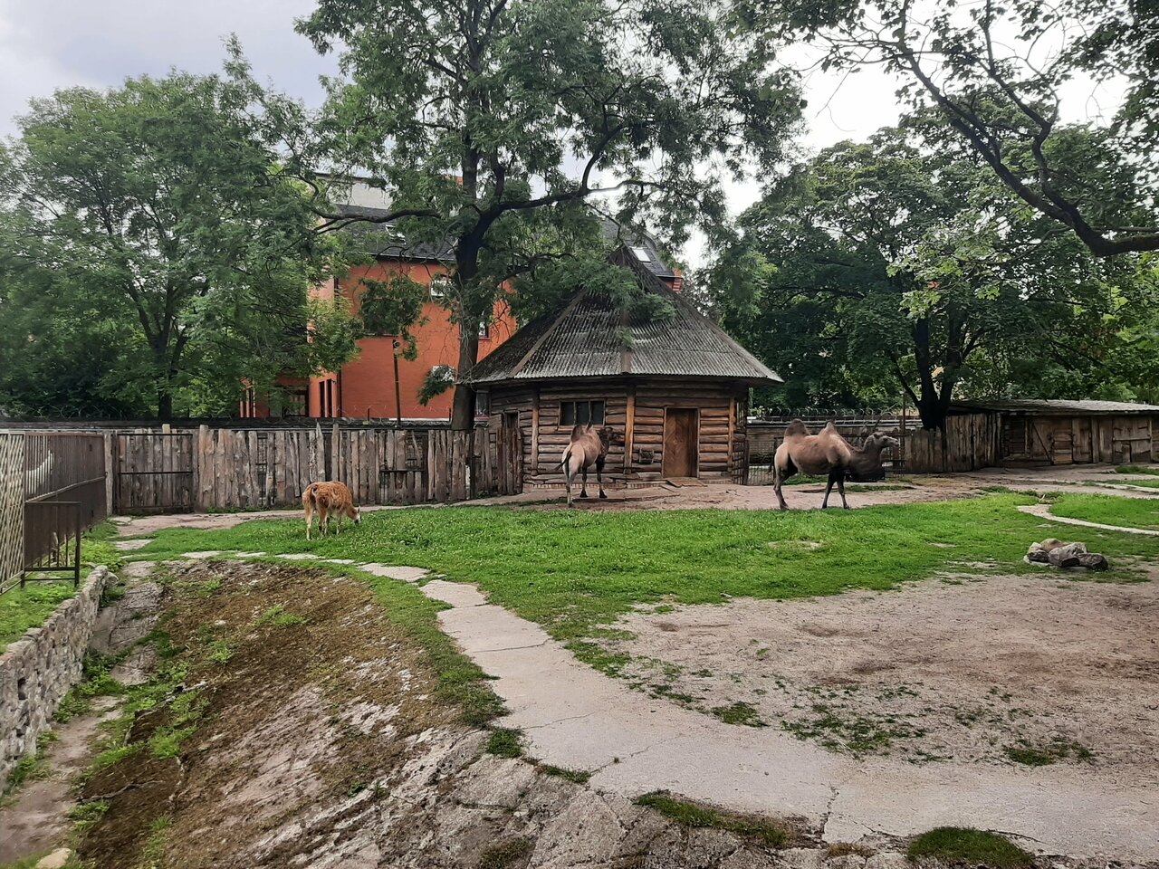 Гостиница Черепаха Калининград-119