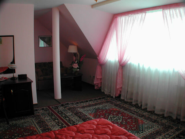 Гостиница Черепаха Калининград-8