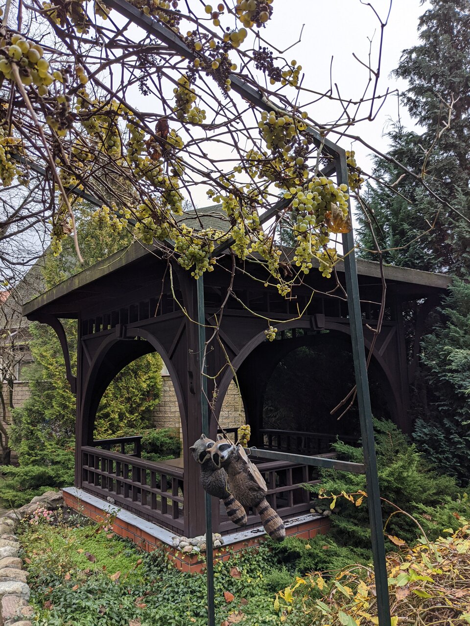 Гостиница Черепаха Калининград-130