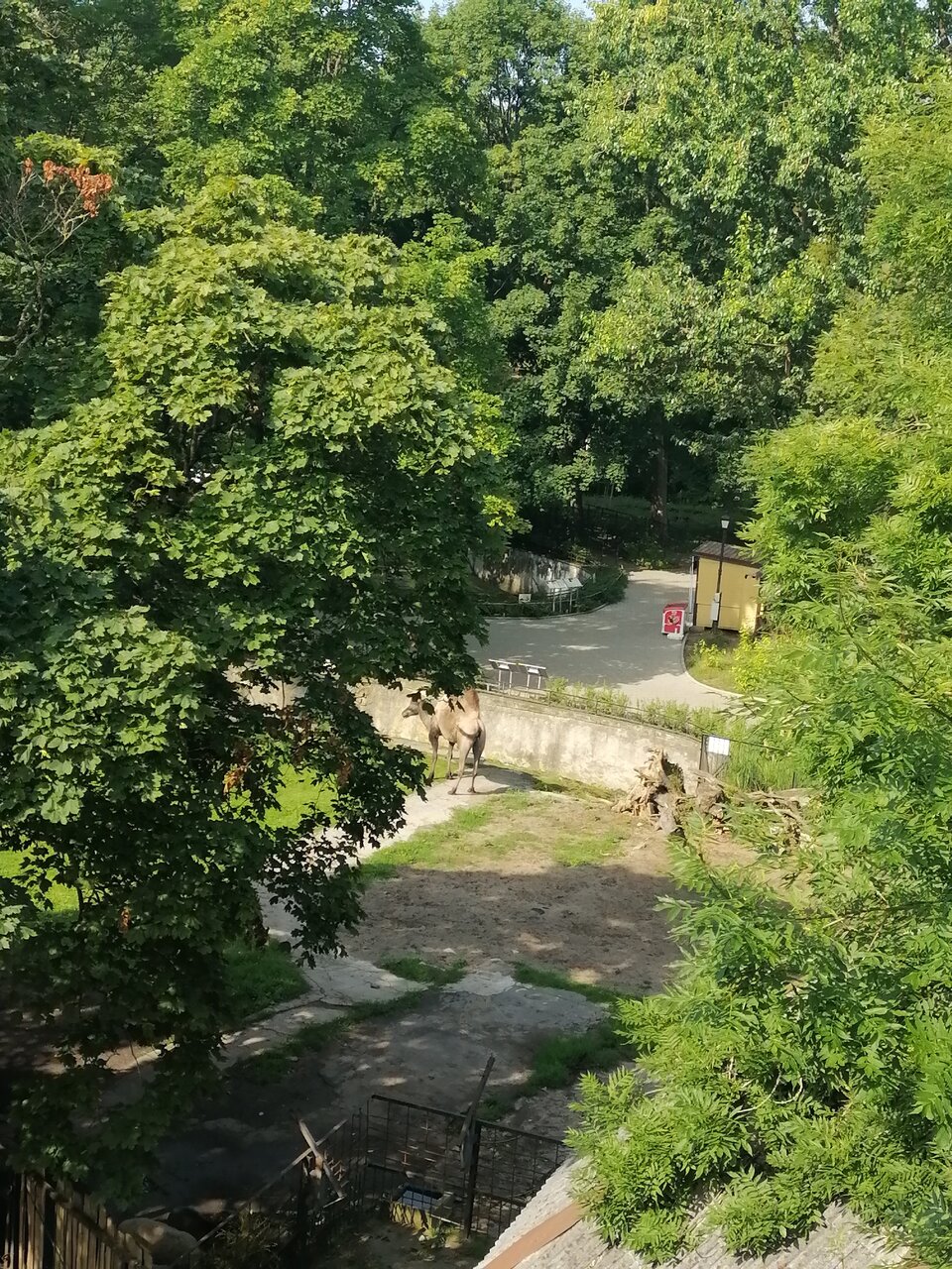 Гостиница Черепаха Калининград-154