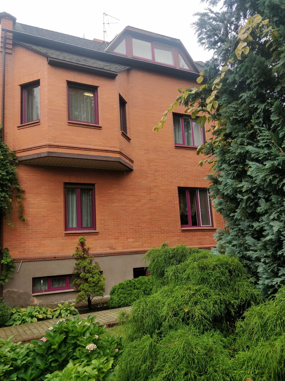 Гостиница Черепаха Калининград-122