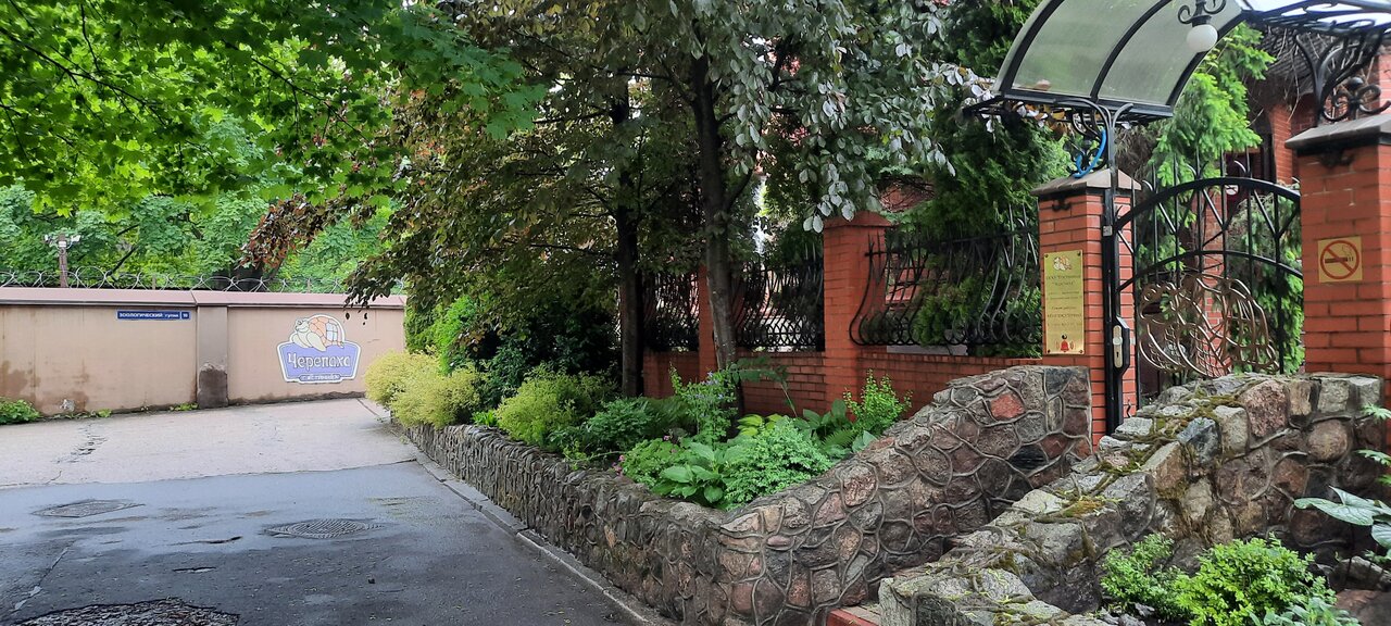 Гостиница Черепаха Калининград-219