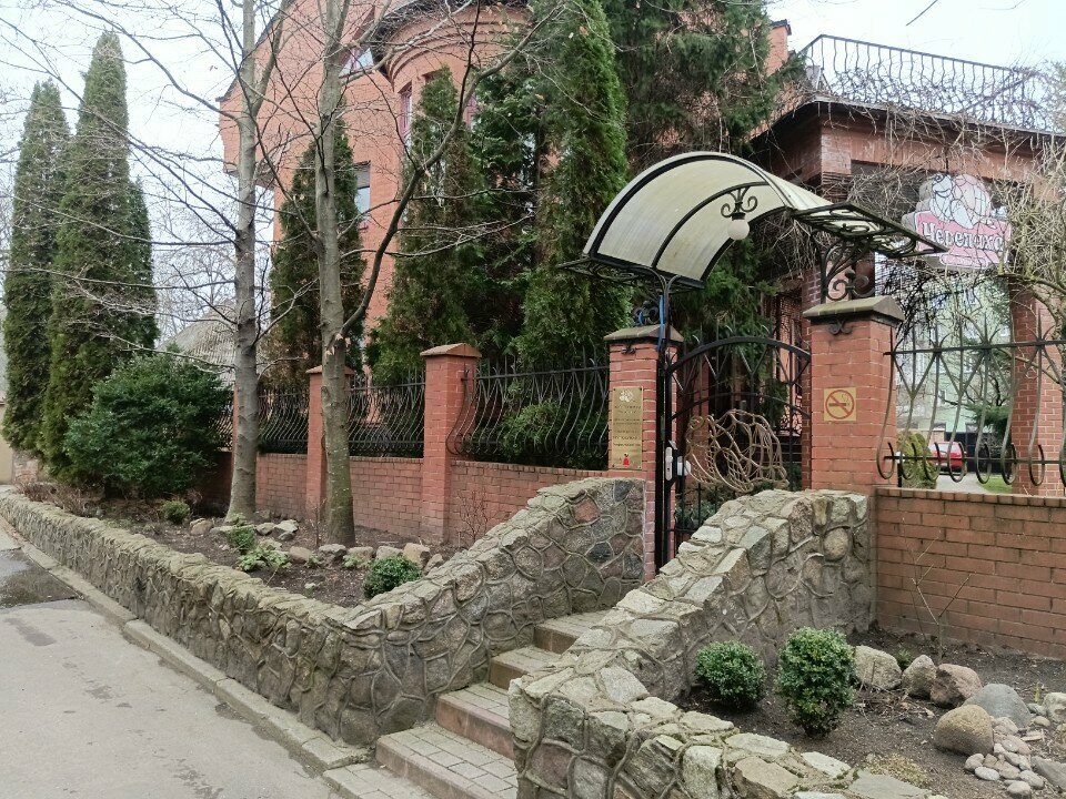 Гостиница Черепаха Калининград-50