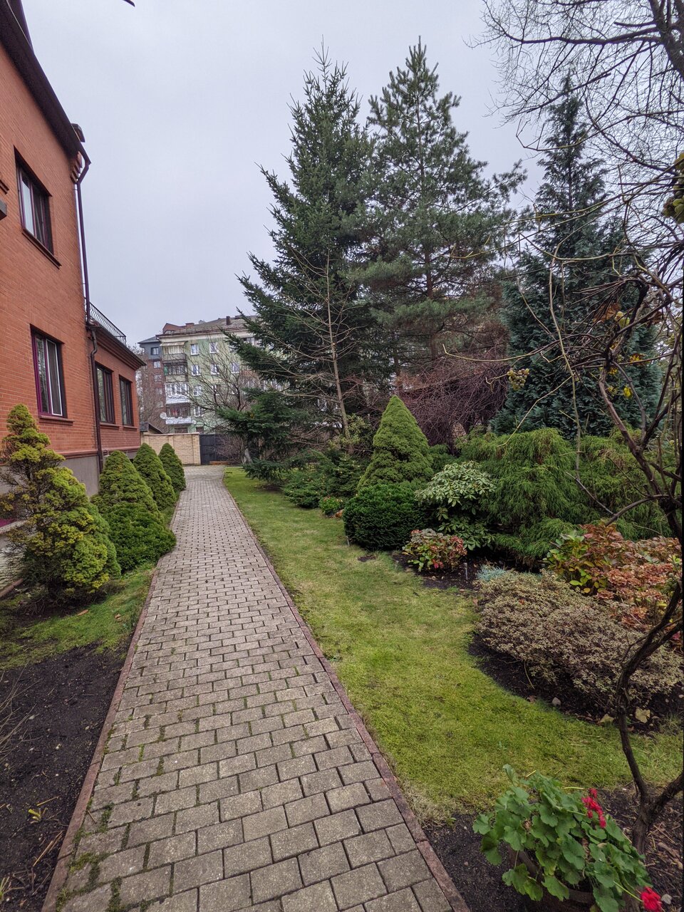 Гостиница Черепаха Калининград-148