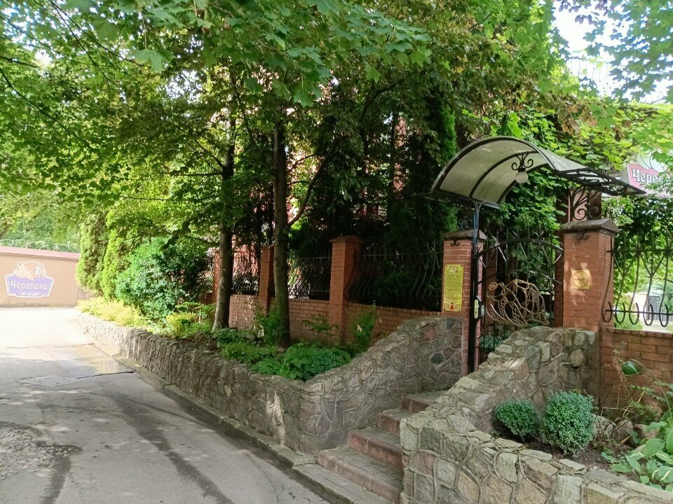 Гостиница Черепаха Калининград-73