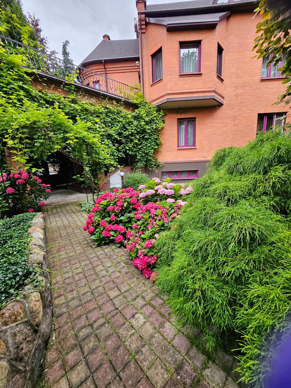 Гостиница Черепаха Калининград-132