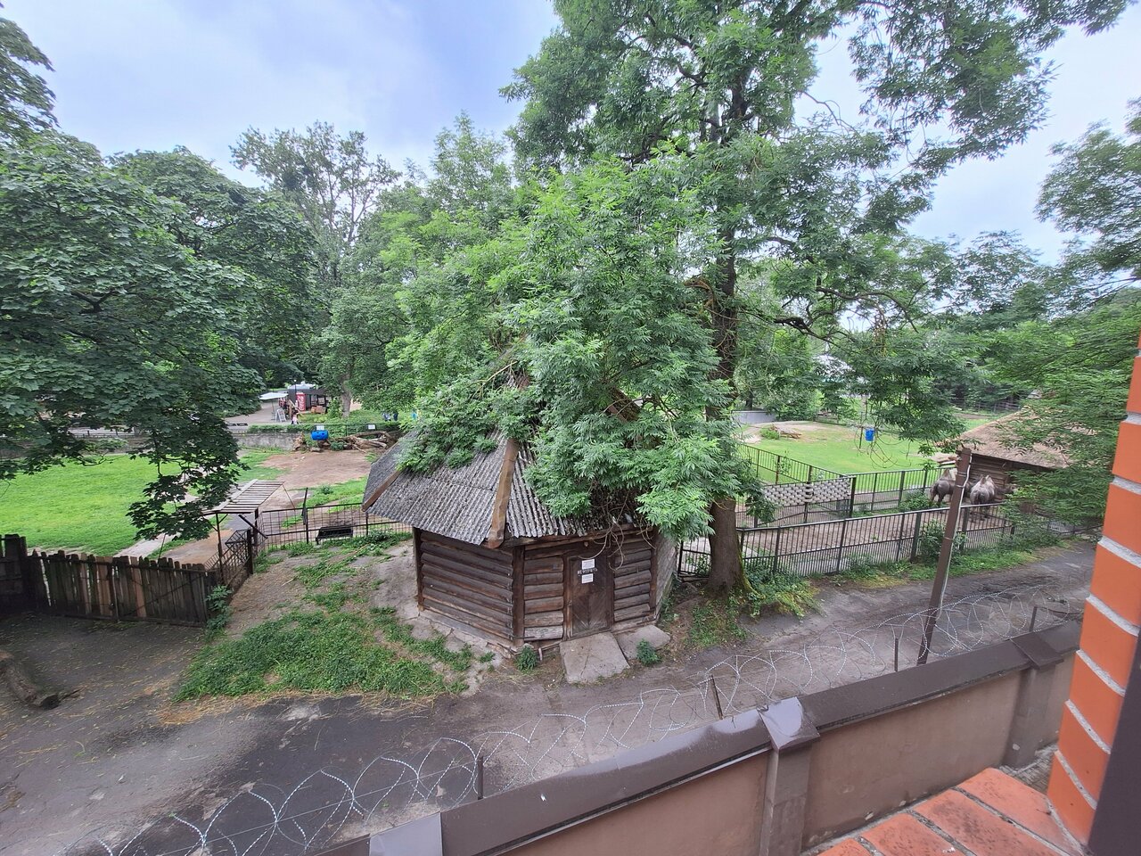 Гостиница Черепаха Калининград-184