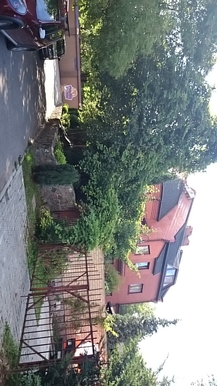 Гостиница Черепаха Калининград-37