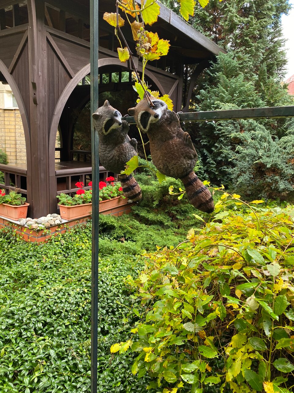 Гостиница Черепаха Калининград-158