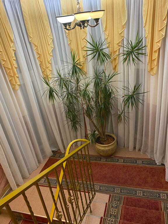 Гостиница Черепаха Калининград-142