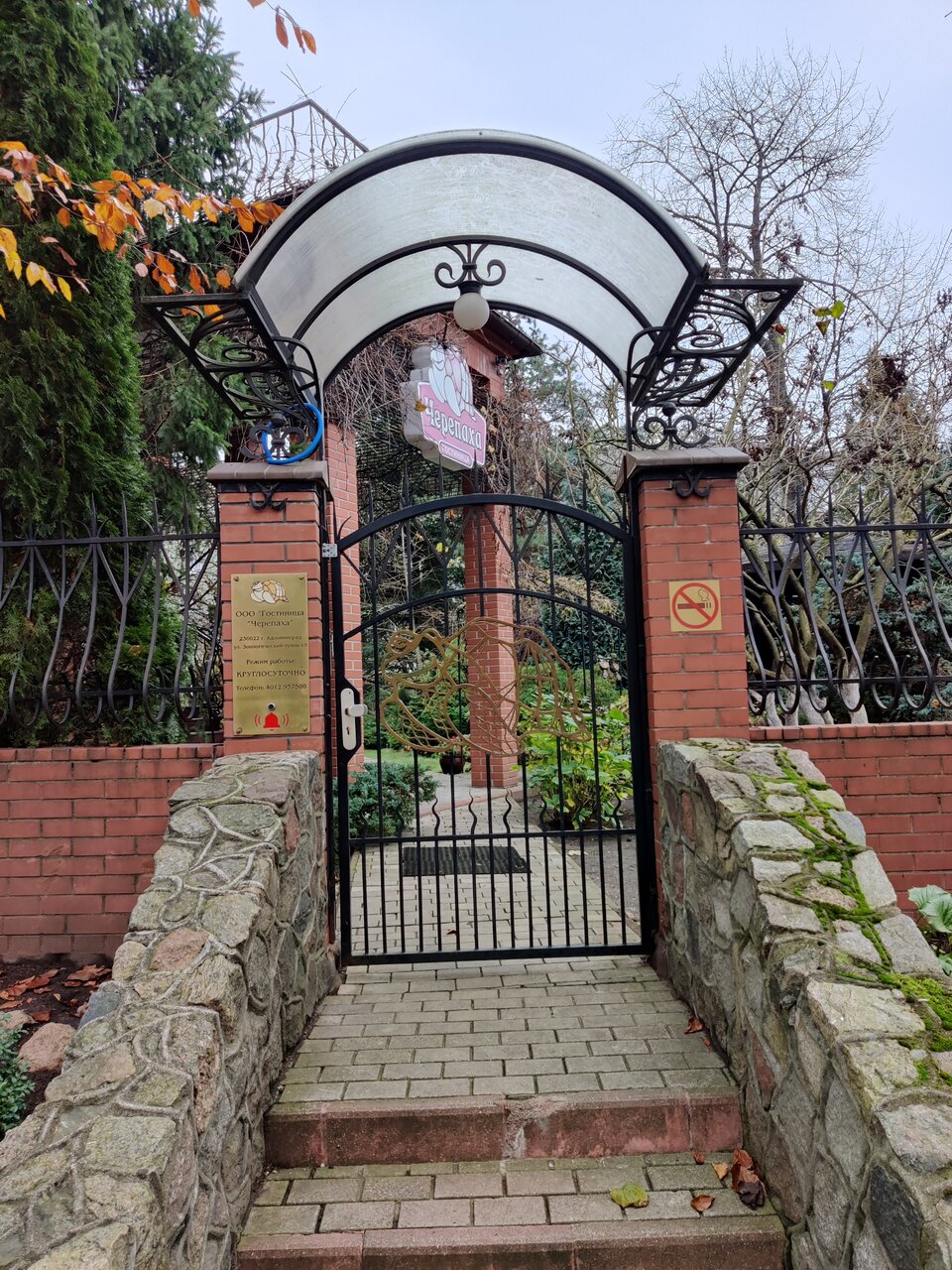 Гостиница Черепаха Калининград-172