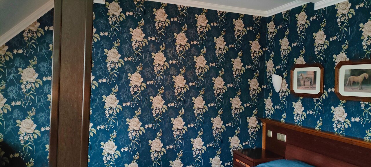 Гостиница Черепаха Калининград-212