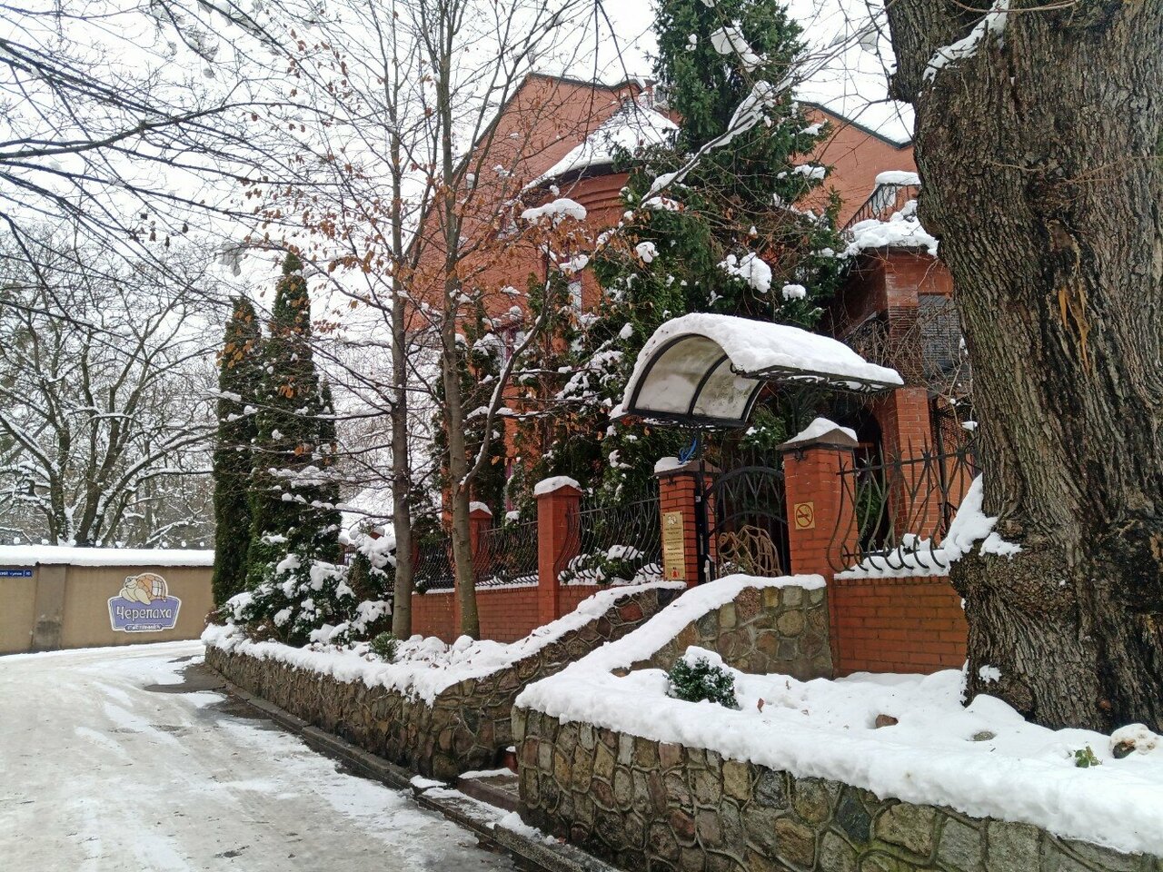 Гостиница Черепаха Калининград-38