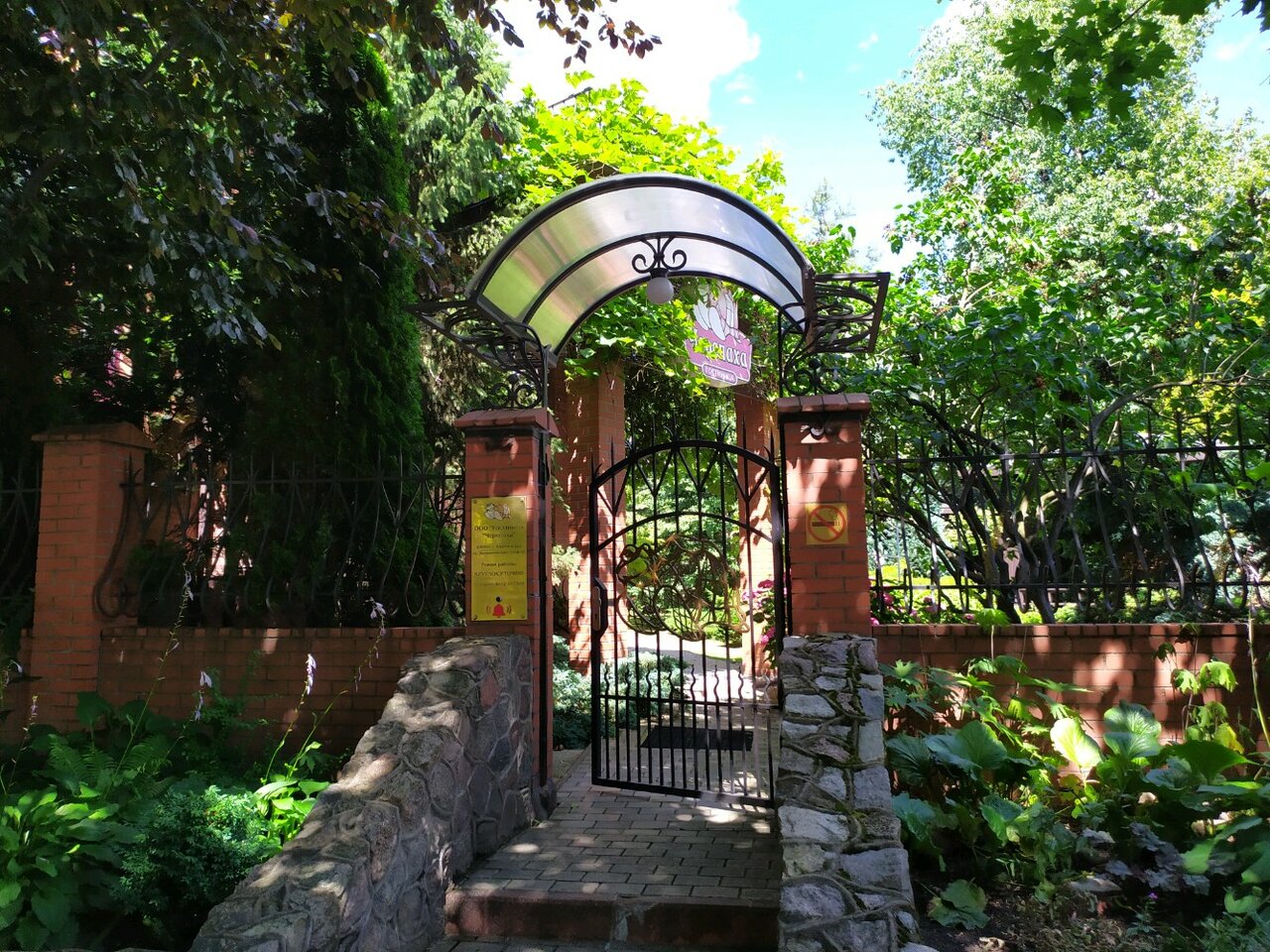 Гостиница Черепаха Калининград-56