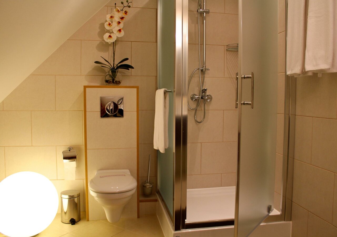 Гостиница Черепаха Калининград-105