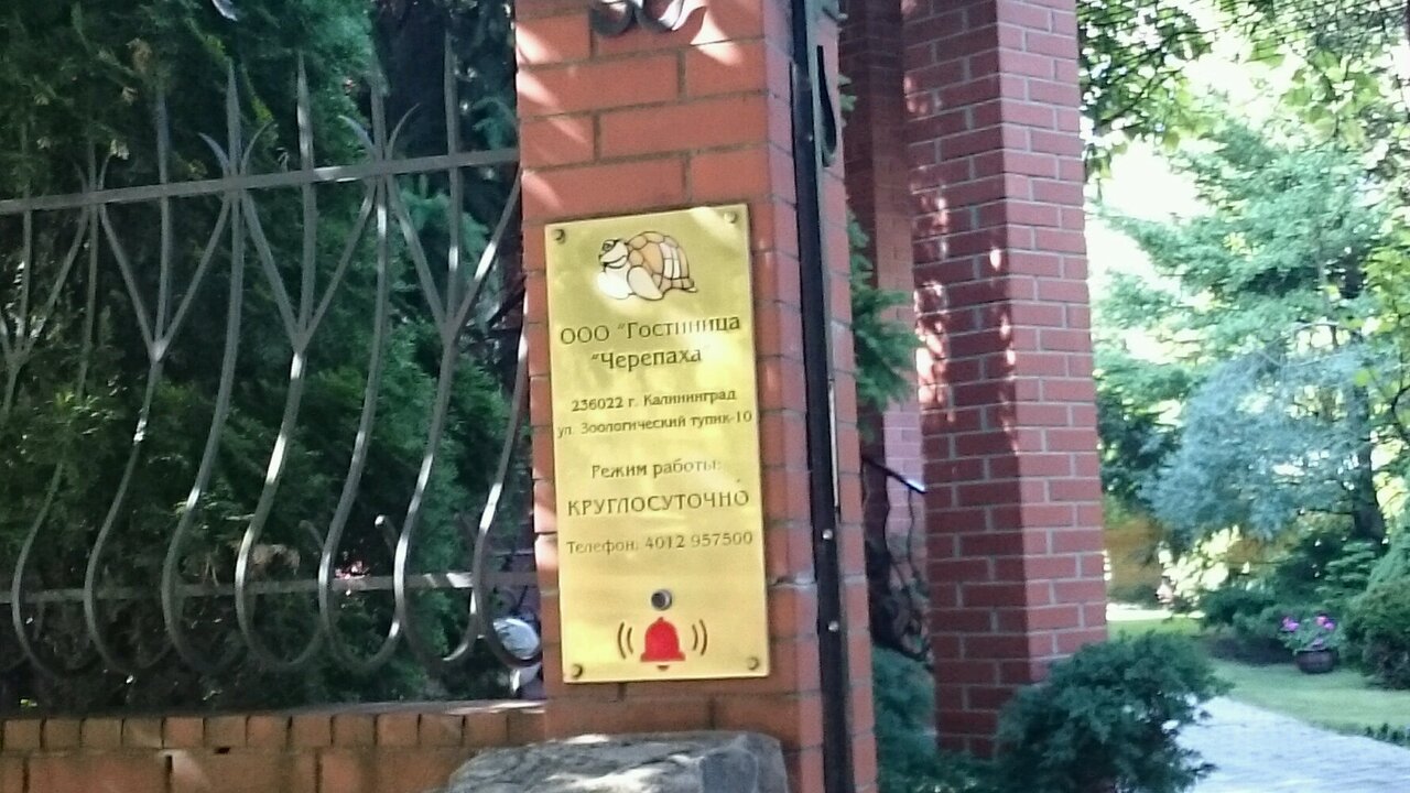 Гостиница Черепаха Калининград-32