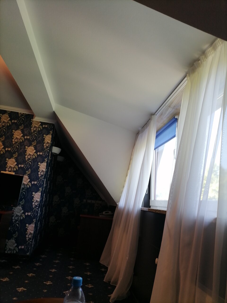 Гостиница Черепаха Калининград-226