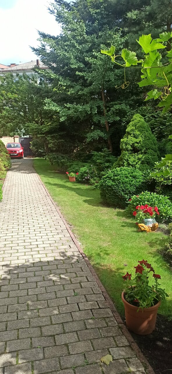 Гостиница Черепаха Калининград-225