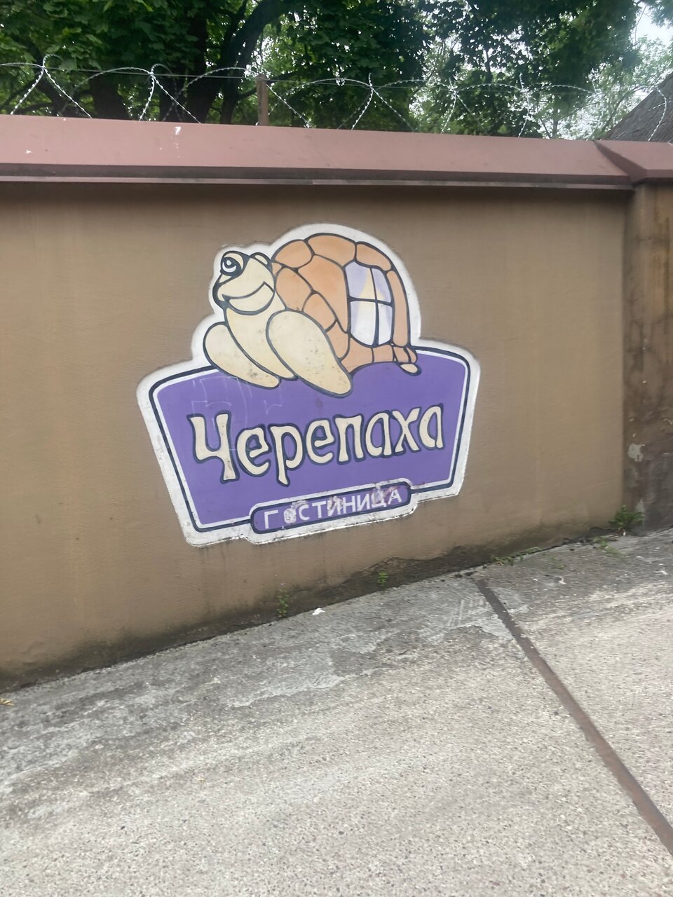 Гостиница Черепаха Калининград-120