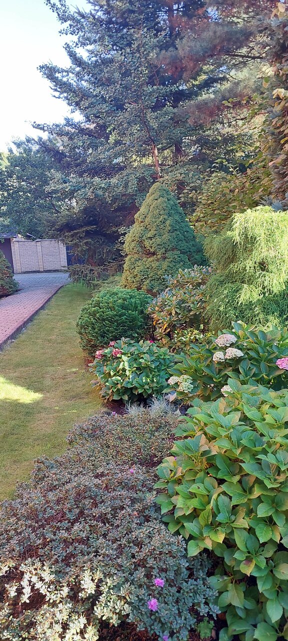 Гостиница Черепаха Калининград-191