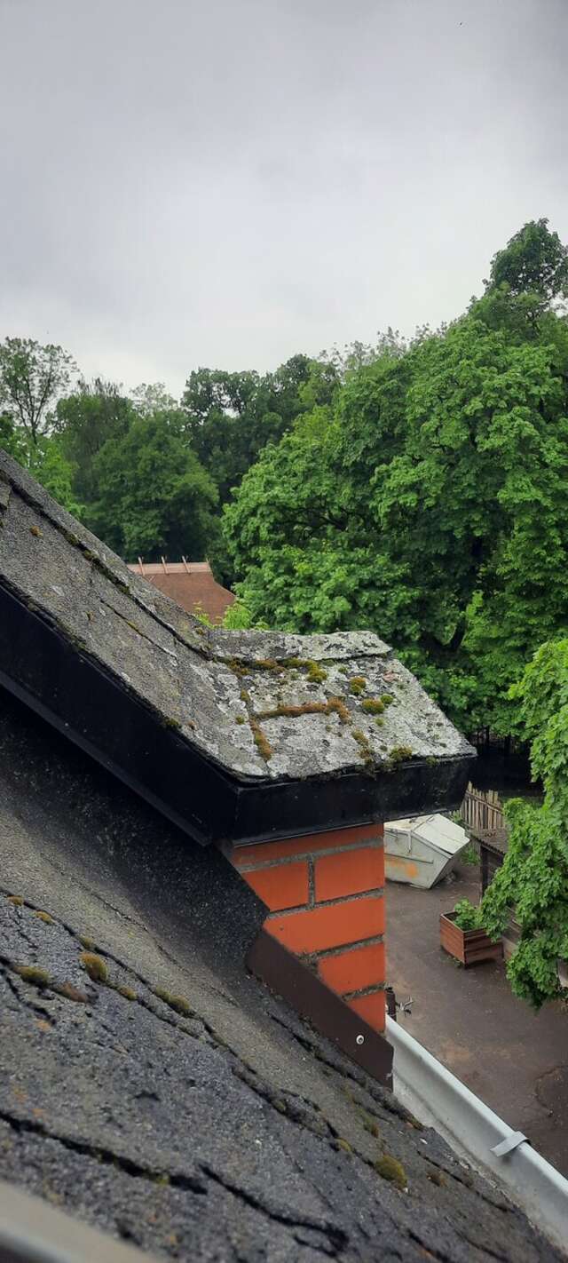 Гостиница Черепаха Калининград-172