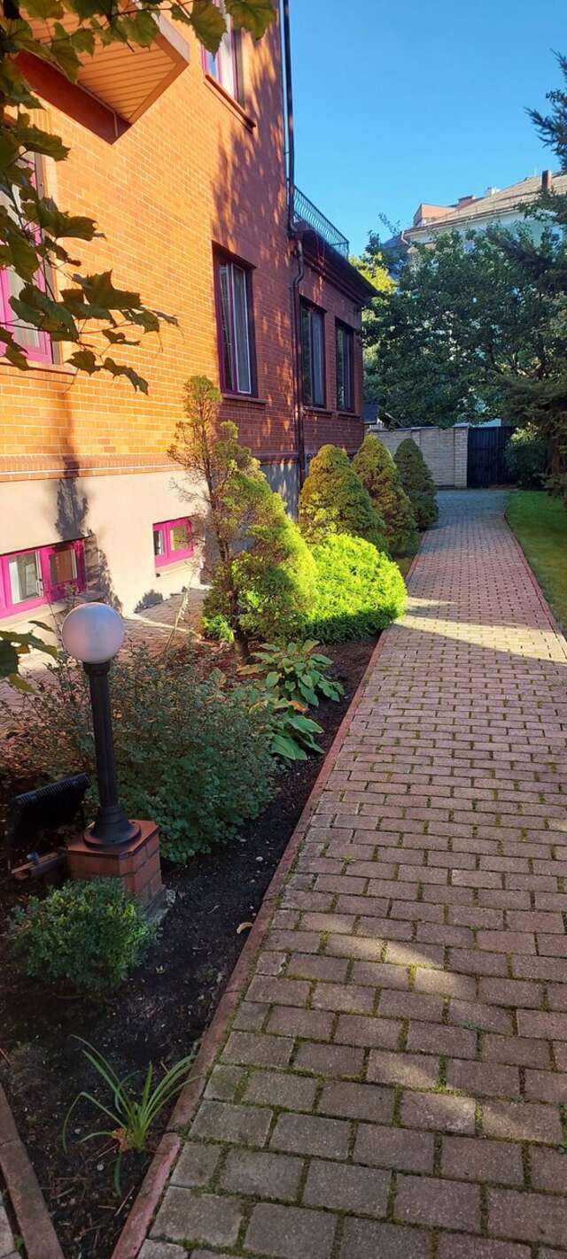 Гостиница Черепаха Калининград-189