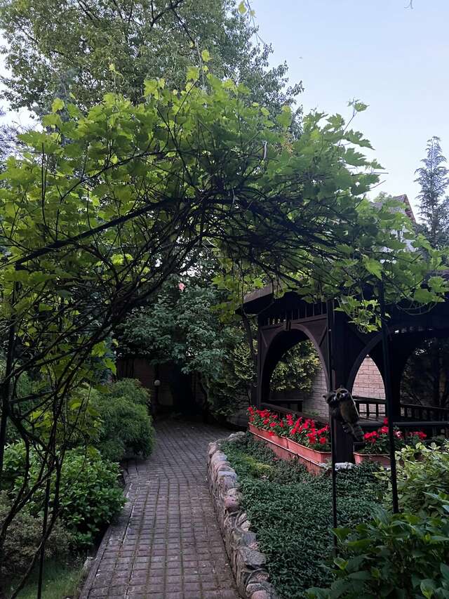 Гостиница Черепаха Калининград-197