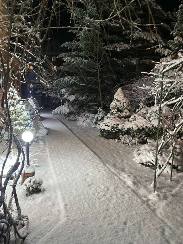 Гостиница Черепаха Калининград-116