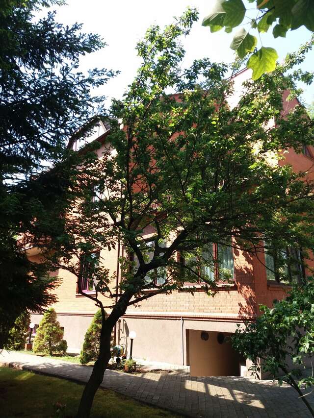 Гостиница Черепаха Калининград-142