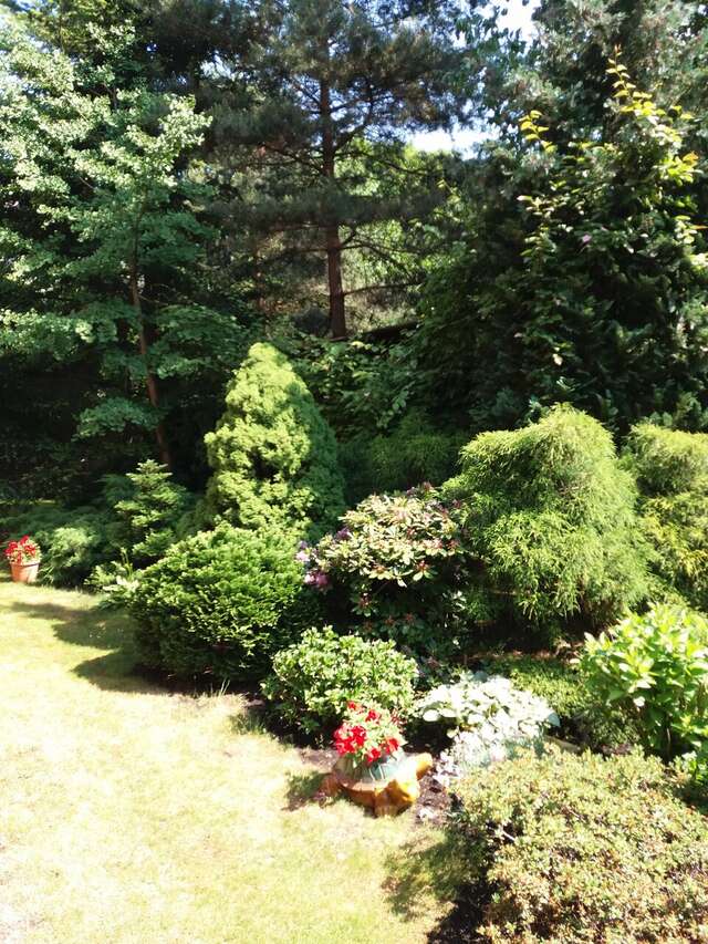 Гостиница Черепаха Калининград-205