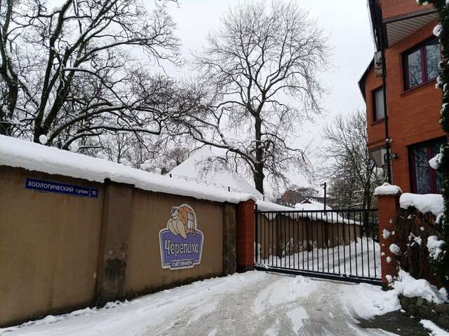 Гостиница Черепаха Калининград-23