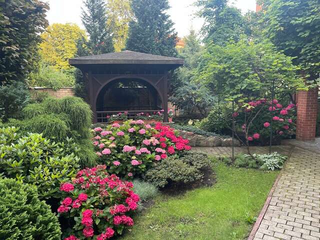 Гостиница Черепаха Калининград-140